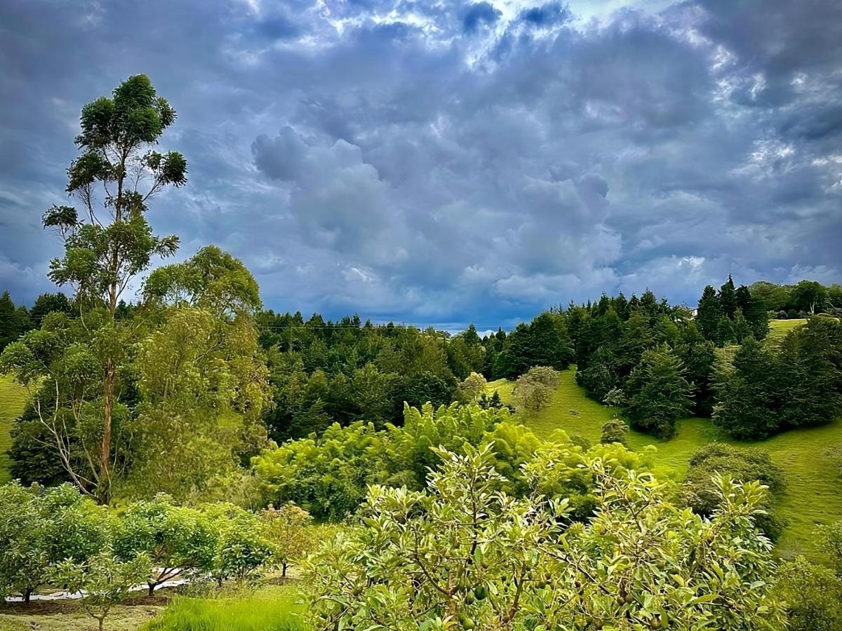 Oeroek Hotel ريونيغرو المظهر الخارجي الصورة